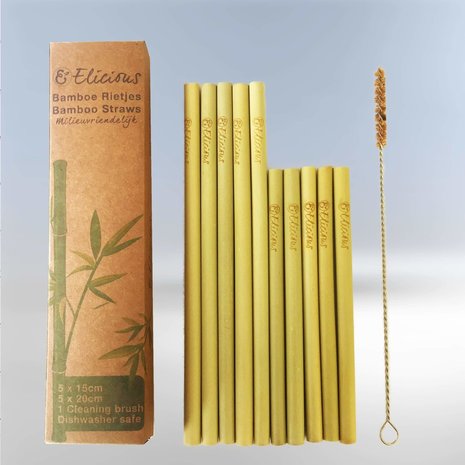 Bamboe rietjes set (10 stuks) met borsteltje